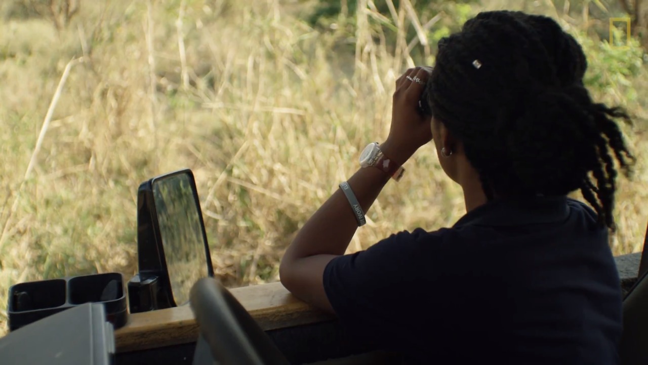 Explorers at Work Dominique Correia Gonçalves